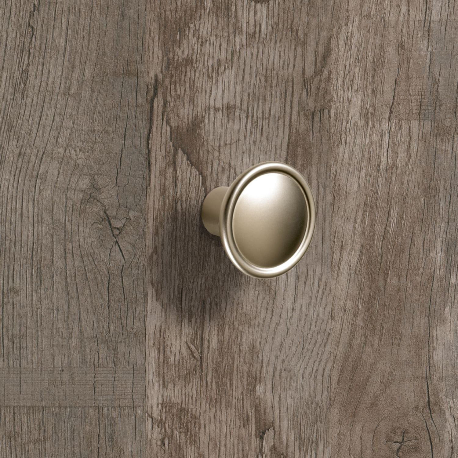 Knop Galleno, H 27 mm, ø 35 mm, Mat vernikkeld