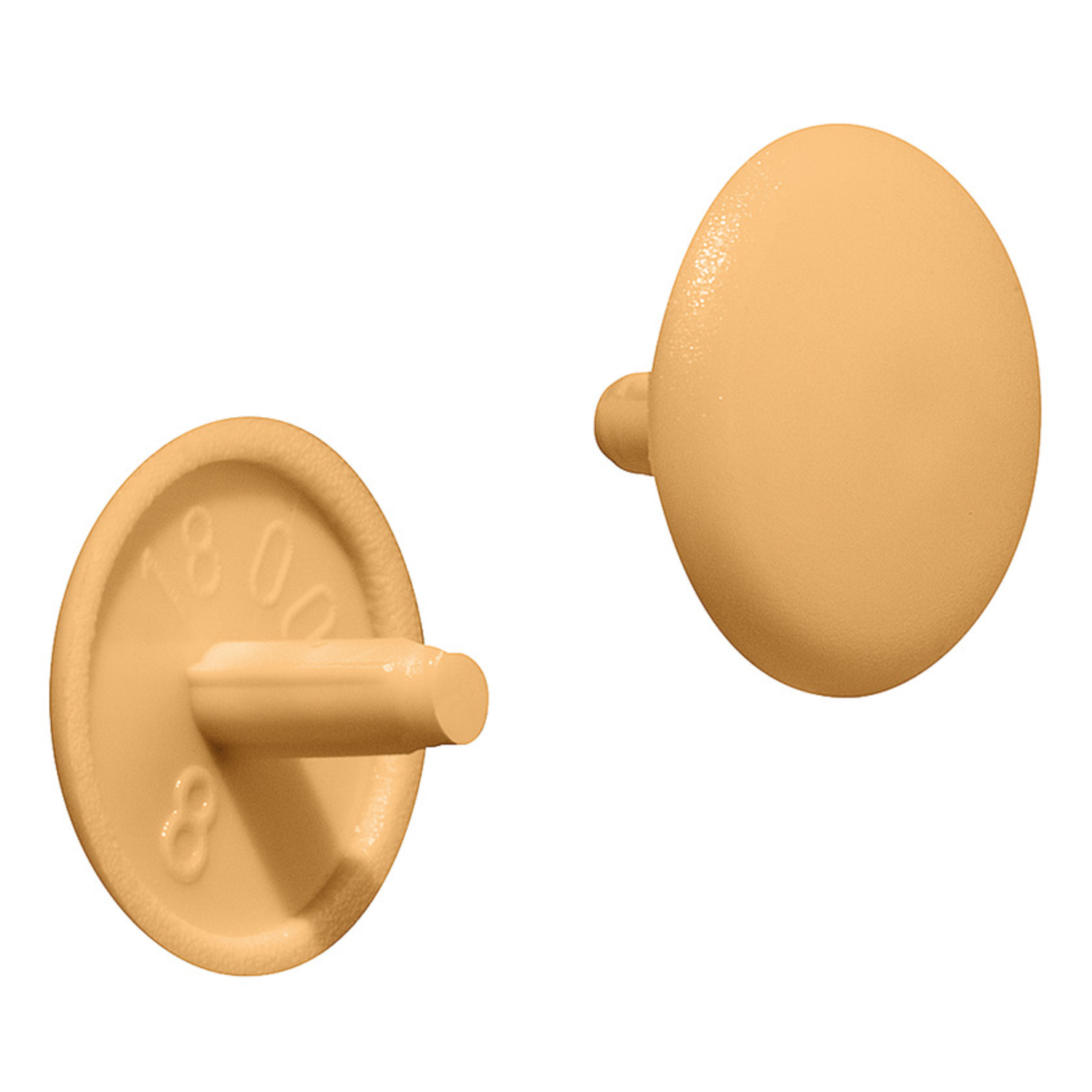 Capuchon pour vis à bois Pozidrive á tête forée beige 