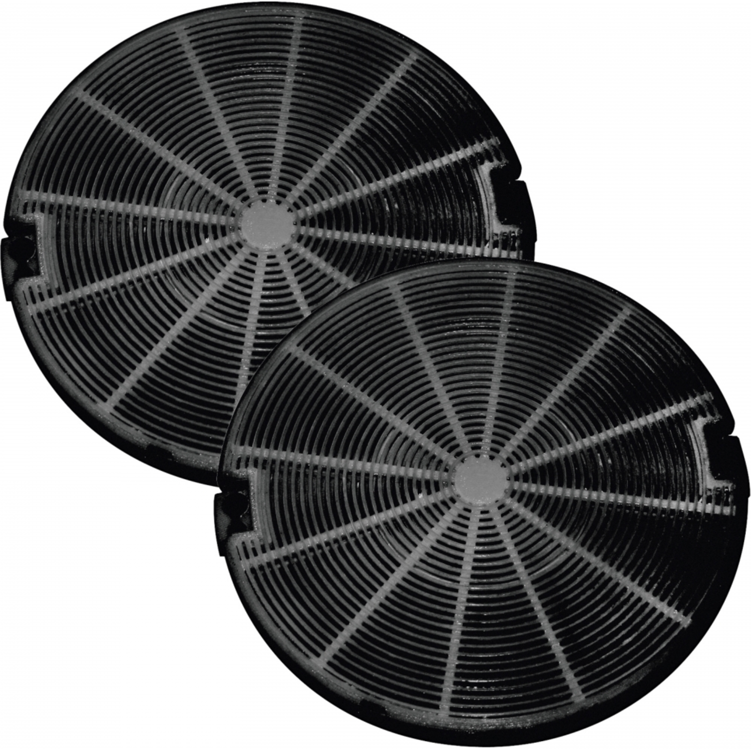 FILTRE A CHARBON (condit x2)