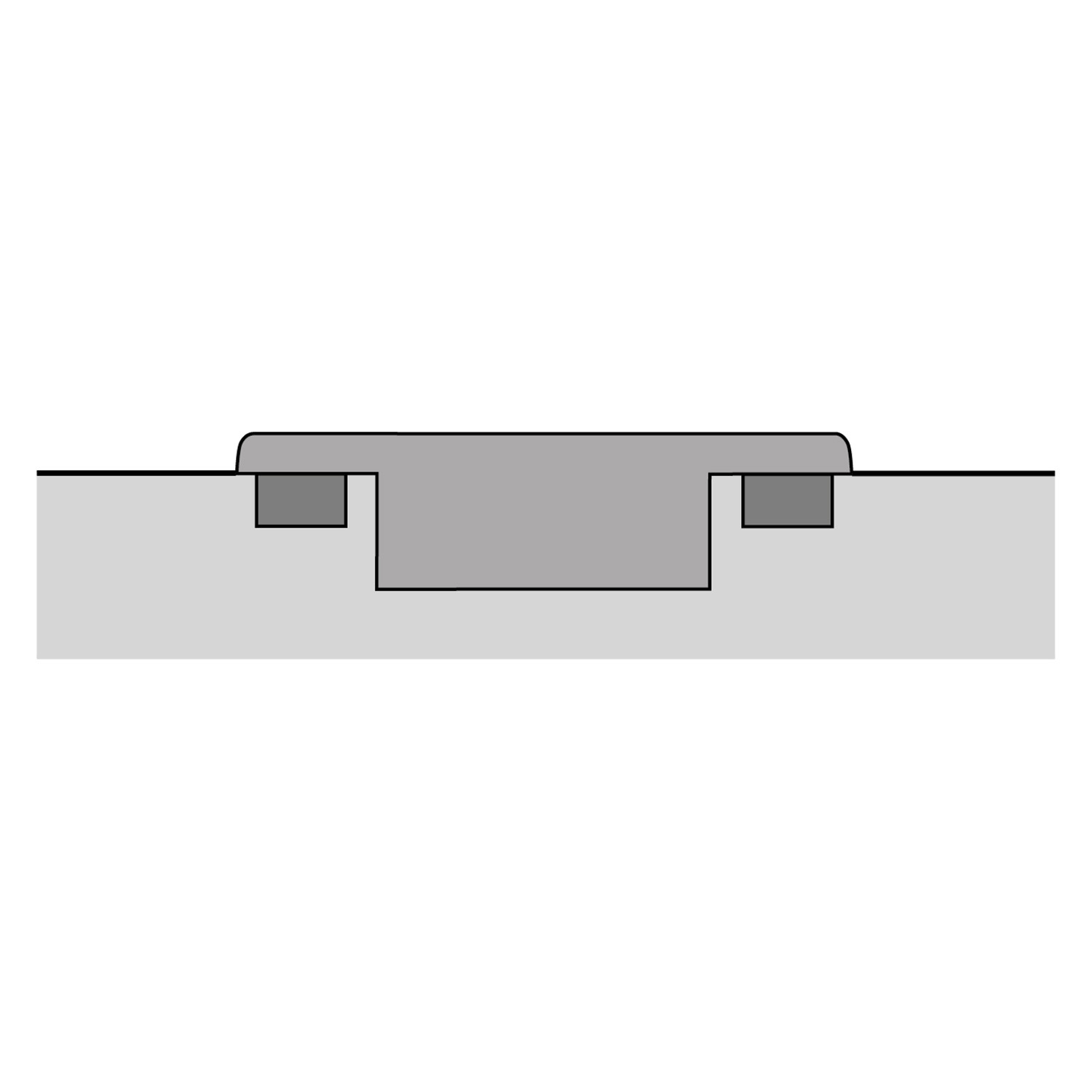 Sensys 8645i 110° B12,5/TB55Fix 