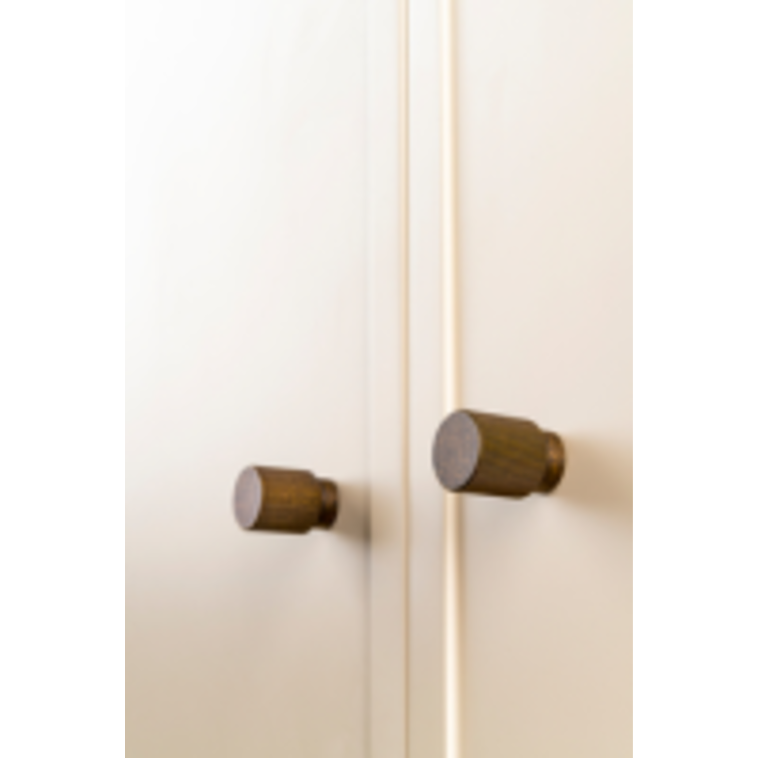 Knop ARPA Ø22 aluminium rvs-look