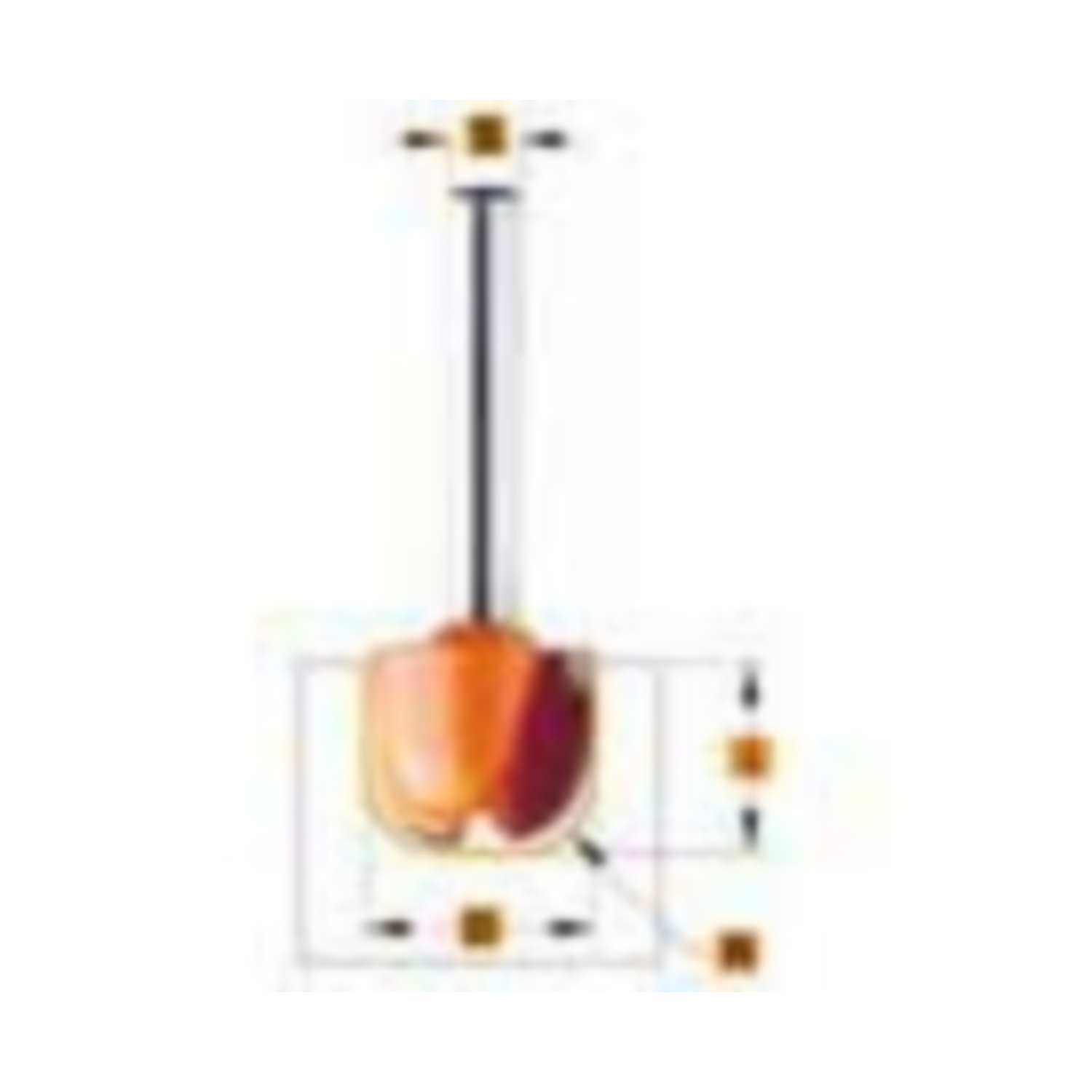 "fraise pour ""tasses et assiettes"" r=6,4"  d19