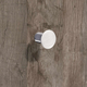 Knop Danum, H 26 mm, ø 30 mm, roestvrij staal geborsteld