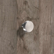 Bouton Sipontum, H 22 mm, ø 25 mm, Inox brossé