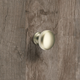 Bouton Cirpi, H 27 mm, ø 30 mm, Nickelé mat