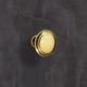 Knop Solva, H 23 mm, ø 30 mm, messingkleurig glans