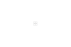 Botton Pro 45 manueel